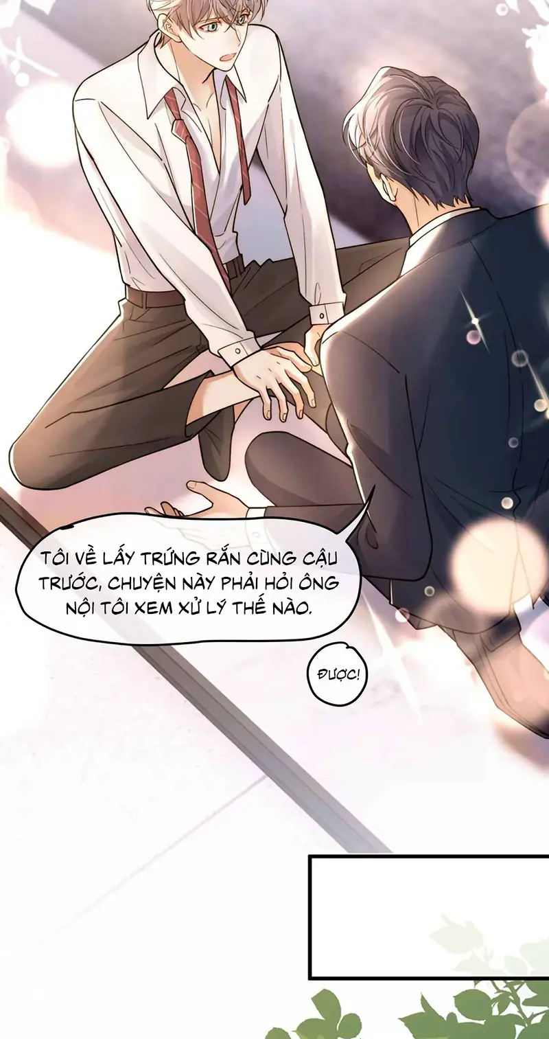Tiêu Rồi, Sau Khi Bị Đánh Dấu Sinh Trứng Rắn Rồi Chapter 11 - Trang 13