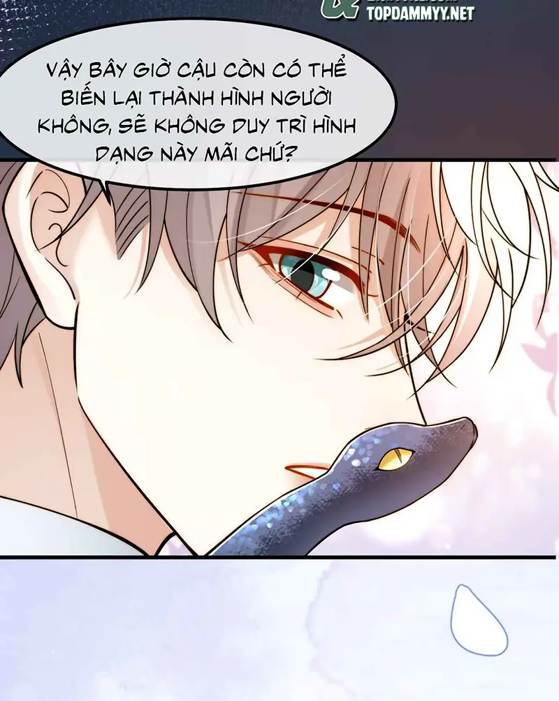 Tiêu Rồi, Sau Khi Bị Đánh Dấu Sinh Trứng Rắn Rồi Chapter 11 - Trang 41