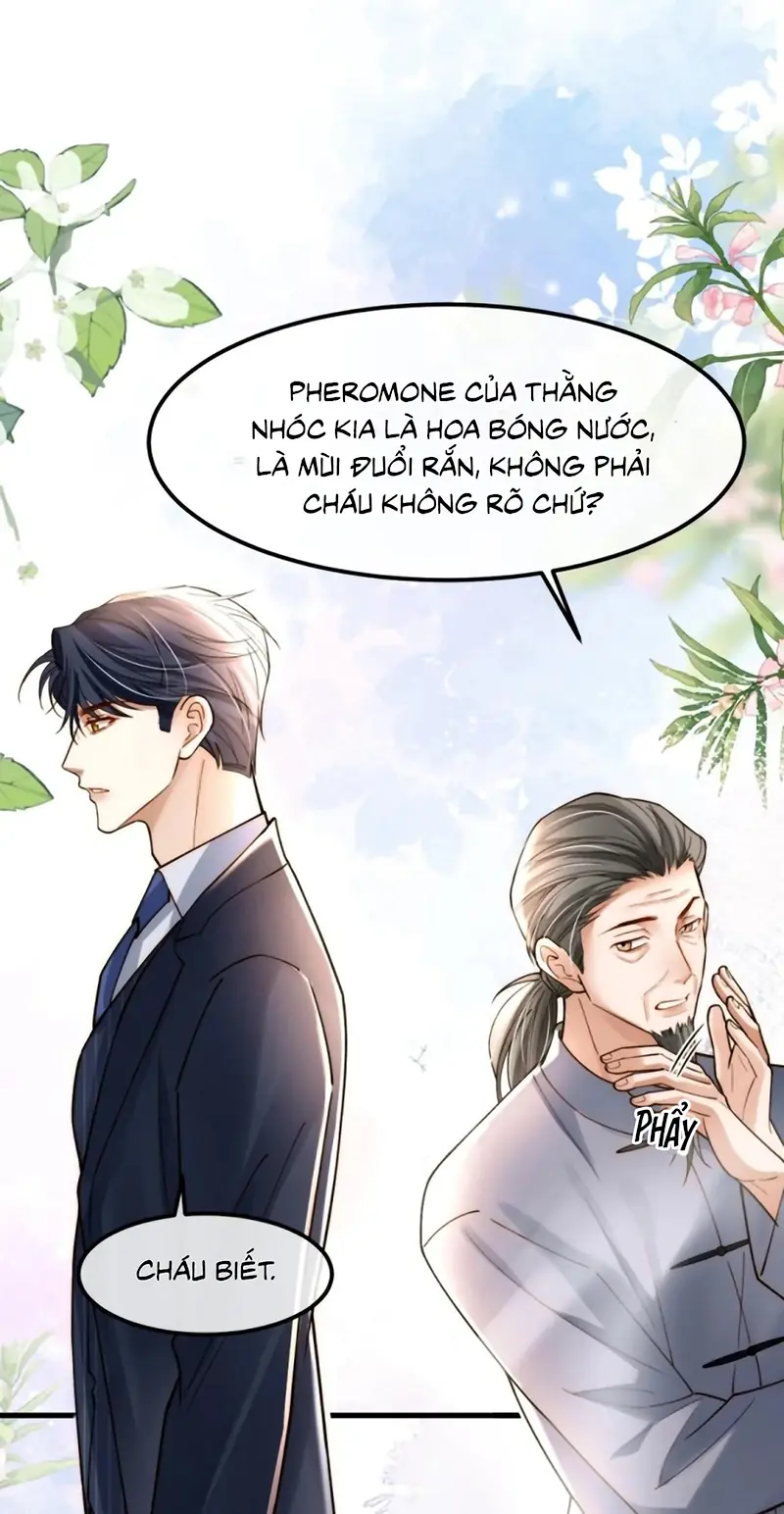 Tiêu Rồi, Sau Khi Bị Đánh Dấu Sinh Trứng Rắn Rồi Chapter 12 - Trang 17