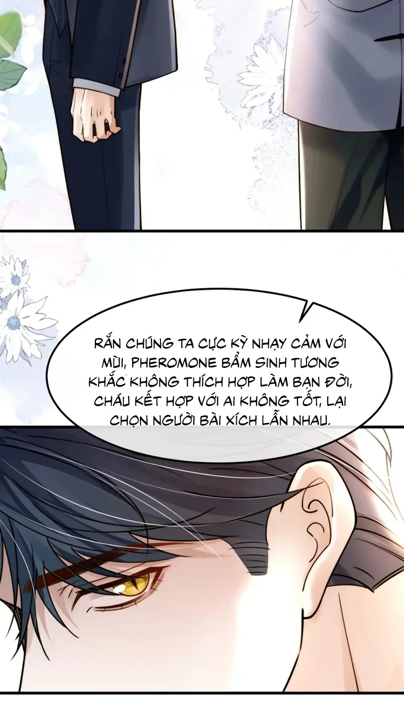 Tiêu Rồi, Sau Khi Bị Đánh Dấu Sinh Trứng Rắn Rồi Chapter 12 - Trang 18