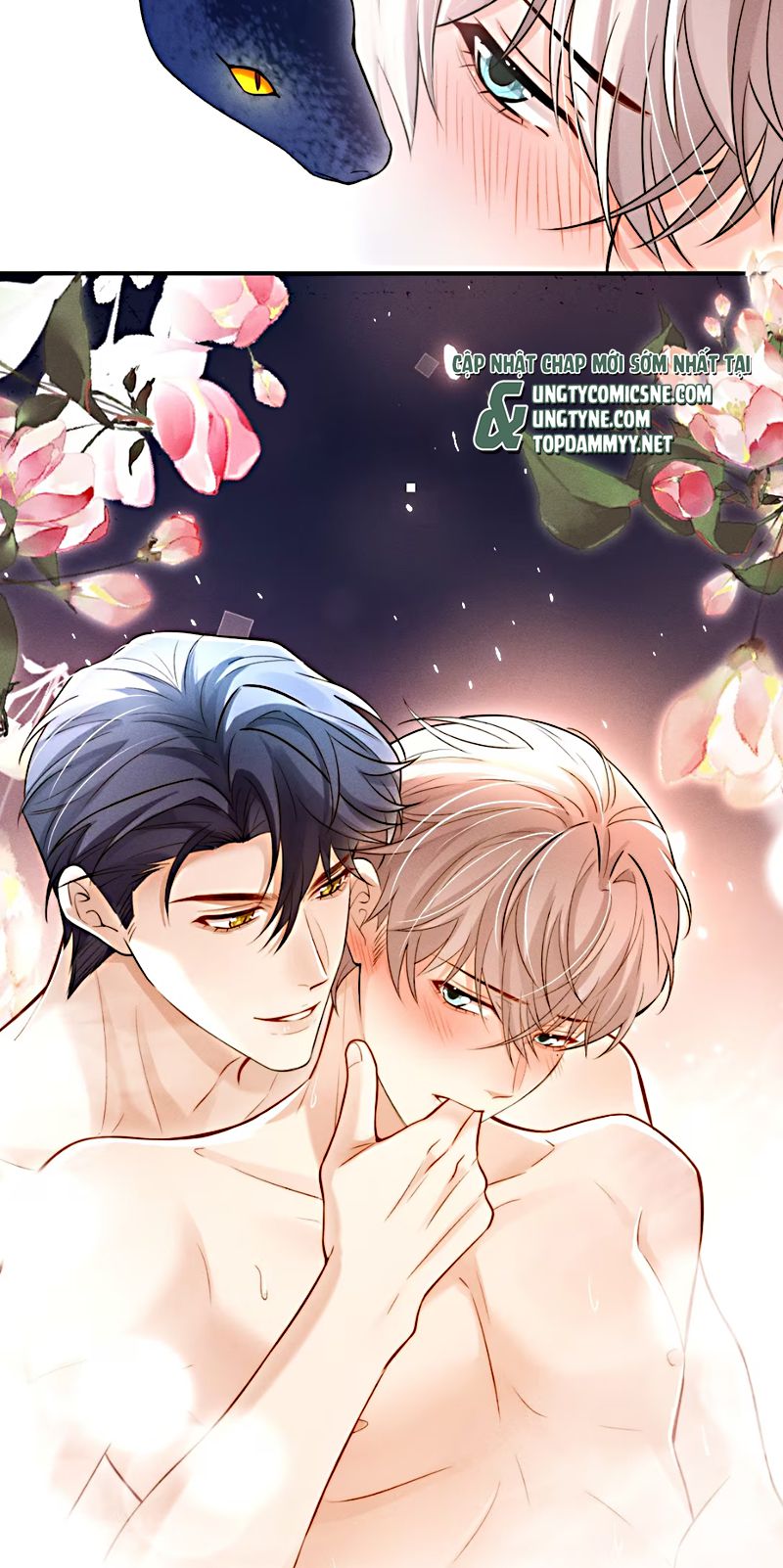 Tiêu Rồi, Sau Khi Bị Đánh Dấu Sinh Trứng Rắn Rồi Chapter 2 - Trang 19