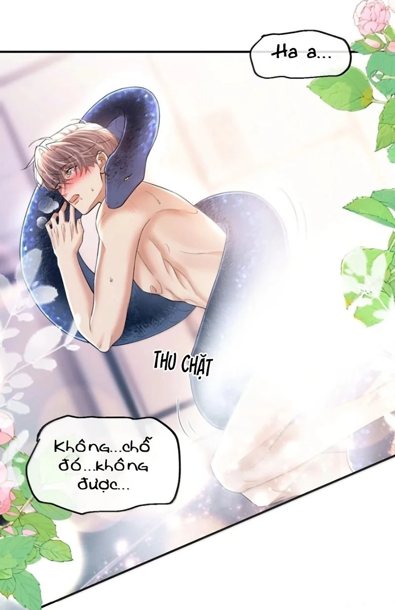 Tiêu Rồi, Sau Khi Bị Đánh Dấu Sinh Trứng Rắn Rồi Chapter 31 - Trang 15