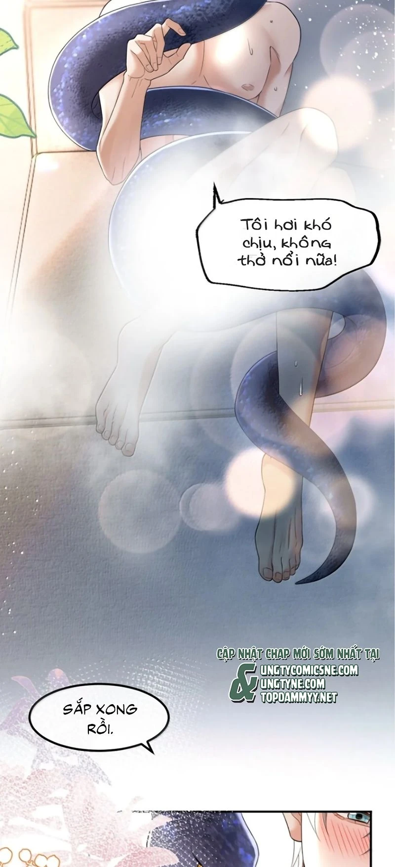 Tiêu Rồi, Sau Khi Bị Đánh Dấu Sinh Trứng Rắn Rồi Chapter 31 - Trang 5
