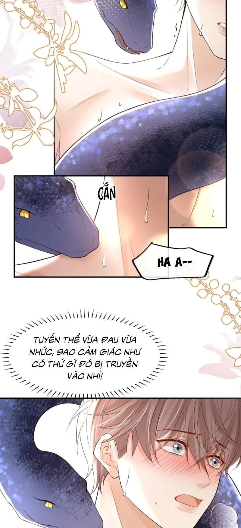 Tiêu Rồi, Sau Khi Bị Đánh Dấu Sinh Trứng Rắn Rồi Chapter 31 - Trang 6