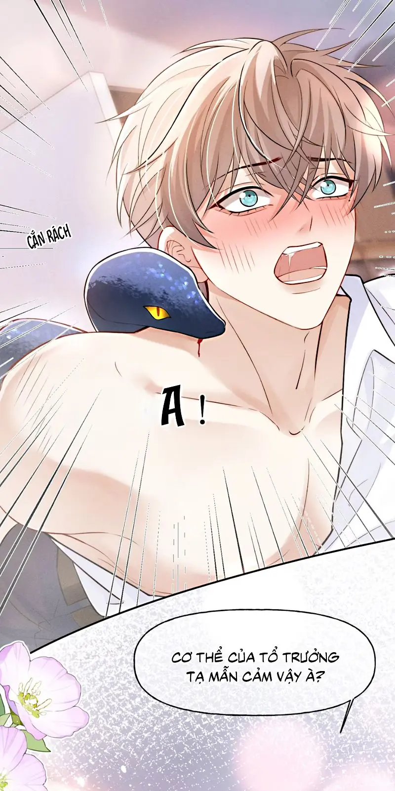 Tiêu Rồi, Sau Khi Bị Đánh Dấu Sinh Trứng Rắn Rồi Chapter 4 - Trang 7