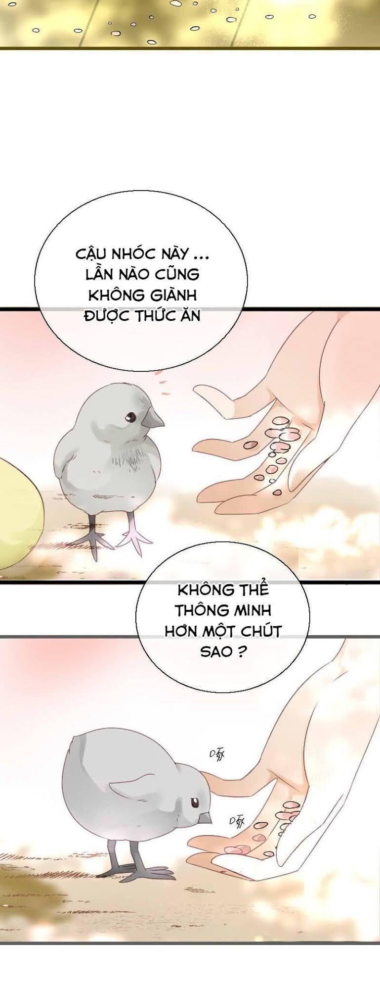 Tiểu Tân Nương Nóng Bỏng Của Nông Gia Chapter 52 - Trang 11