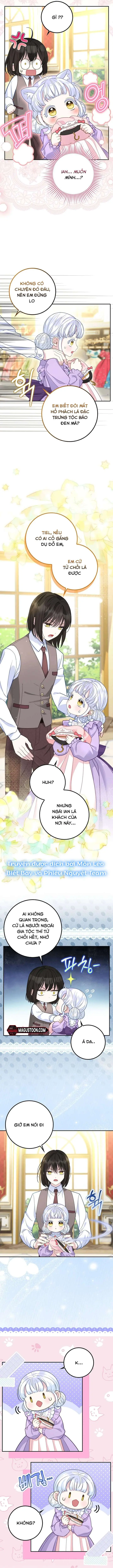 Tiểu Thư Báo Tuyết Của Gia Tộc Báo Đen Chapter 12 - Trang 9