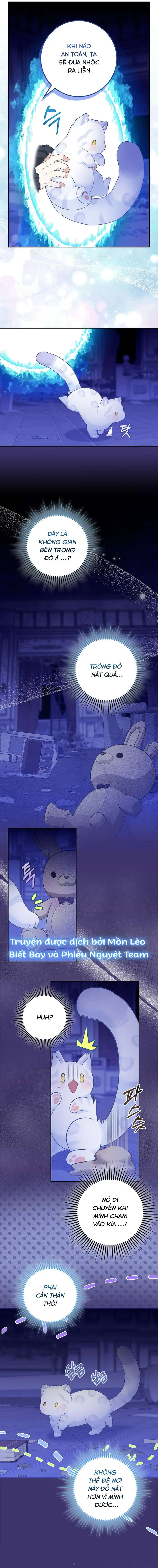 Tiểu Thư Báo Tuyết Của Gia Tộc Báo Đen Chapter 3 - Trang 11