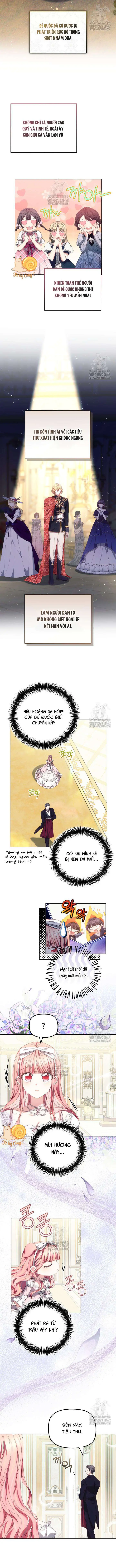 Tiểu Thư Mạnh Mẽ Muốn Trở Nên Yếu Đuối Chapter 12 - Trang 4