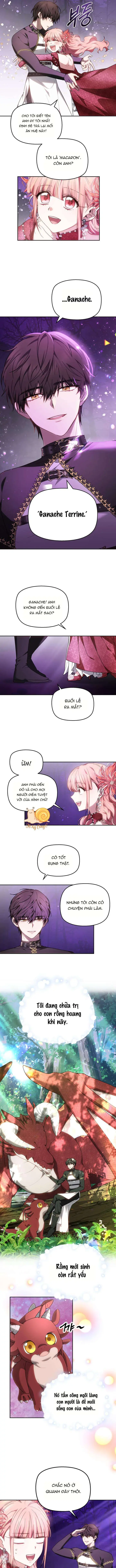 Tiểu Thư Mạnh Mẽ Muốn Trở Nên Yếu Đuối Chapter 2 - Trang 23