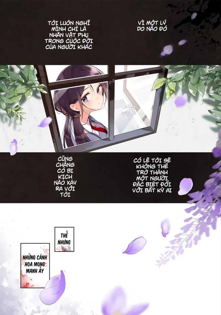 Tiểu Thư Shirotae, Đây Là Bí Mật Nhé Chapter 1 - Trang 3