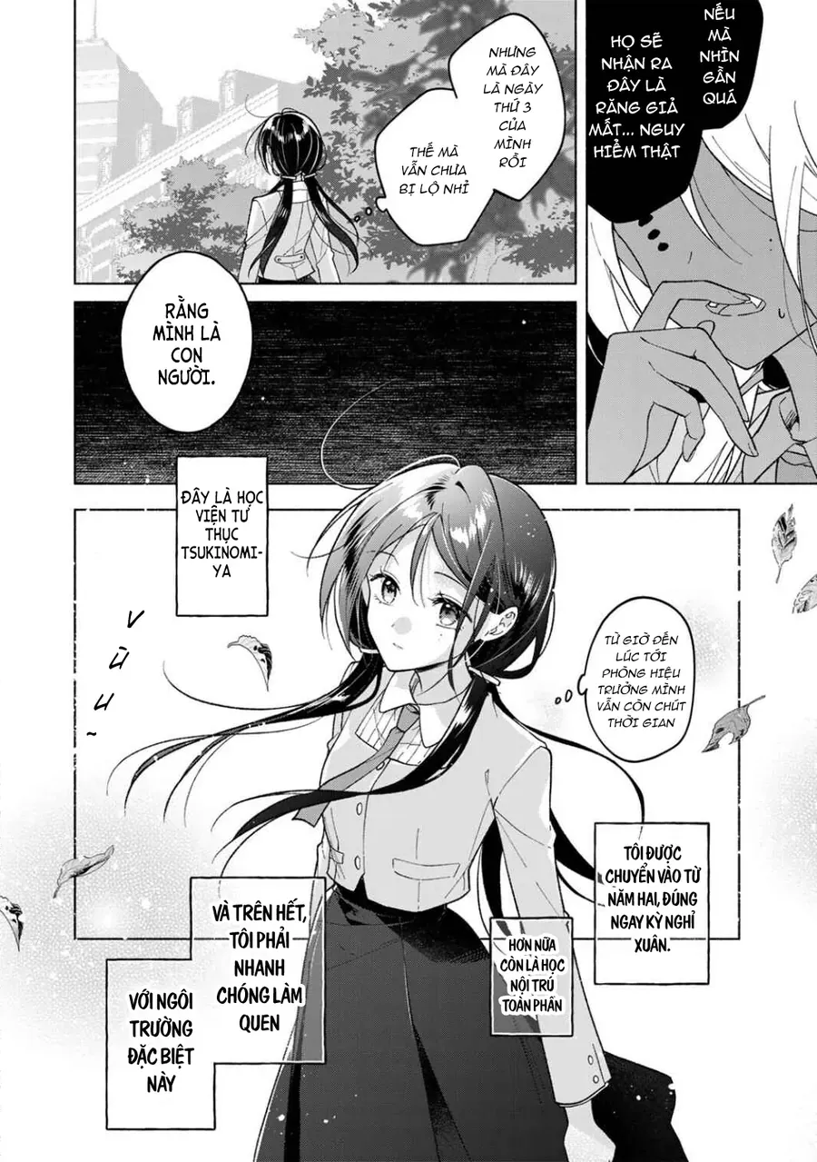 Tiểu Thư Shirotae, Đây Là Bí Mật Nhé Chapter 1 - Trang 8