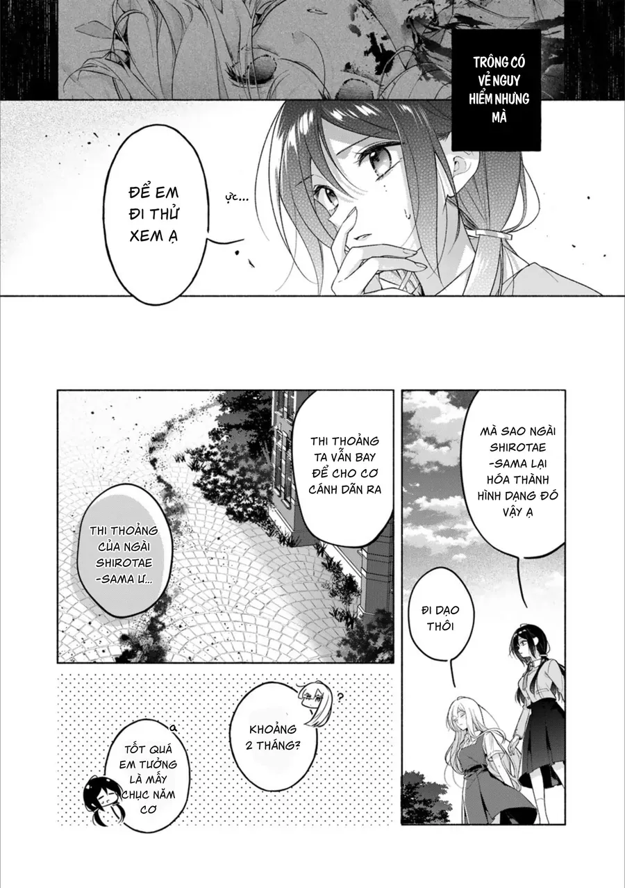 Tiểu Thư Shirotae, Đây Là Bí Mật Nhé Chapter 2 - Trang 16