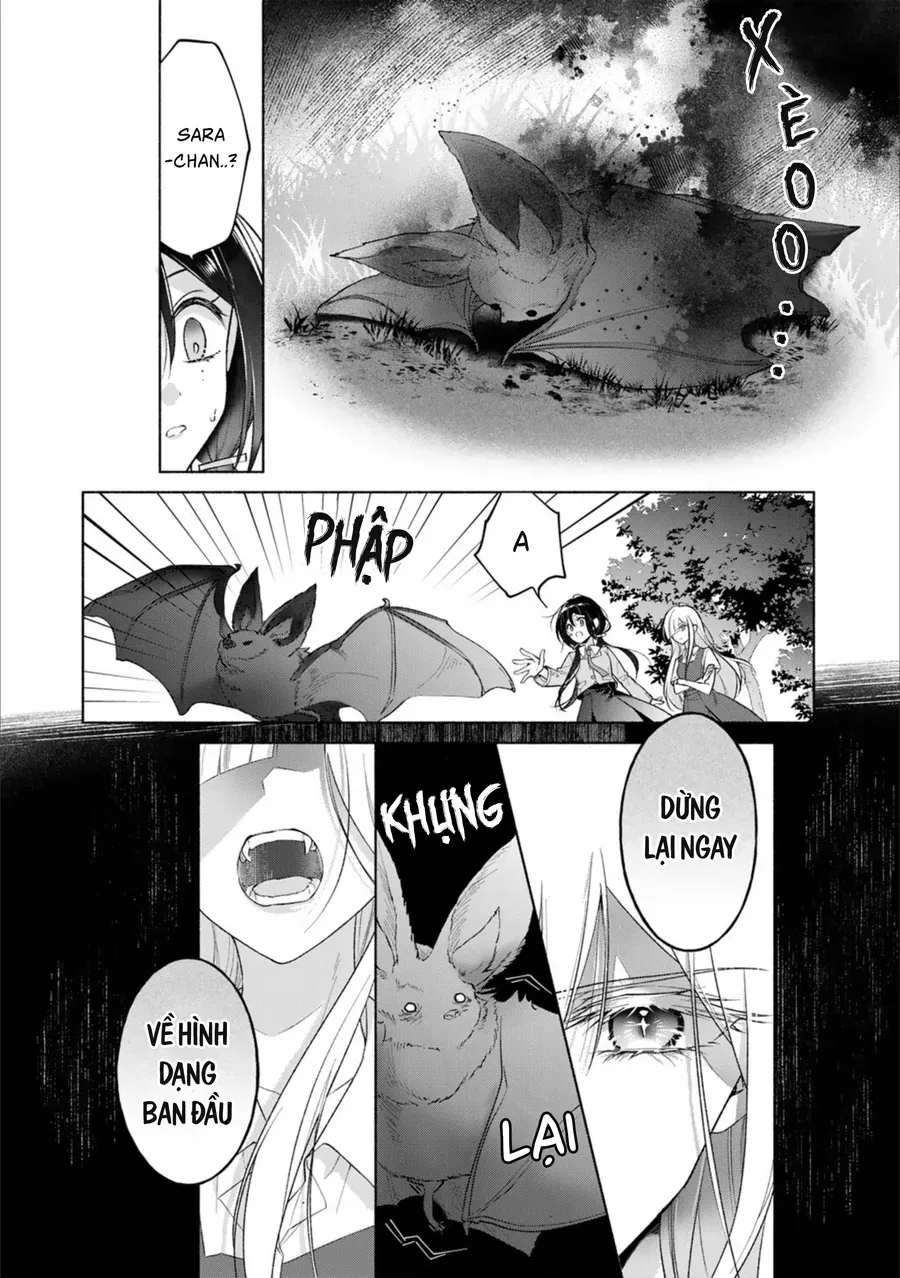 Tiểu Thư Shirotae, Đây Là Bí Mật Nhé Chapter 2 - Trang 22