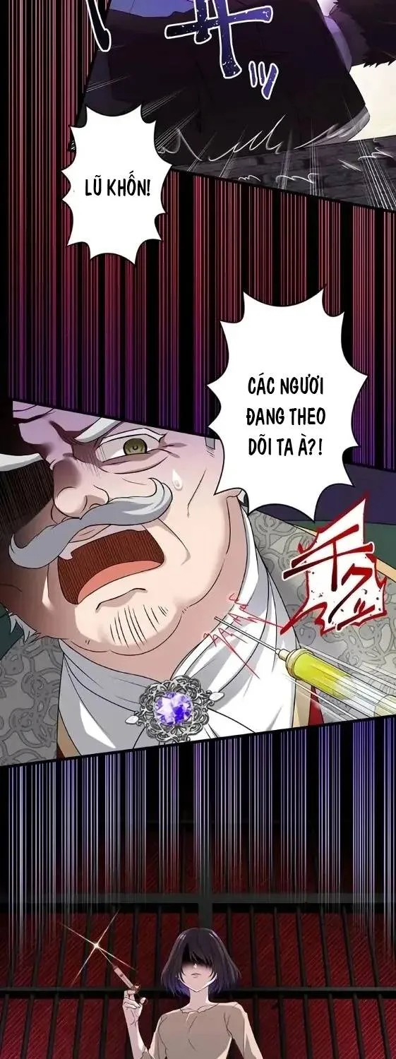 Tiểu Thư Út Tái Sinh Chapter 2 - Trang 14