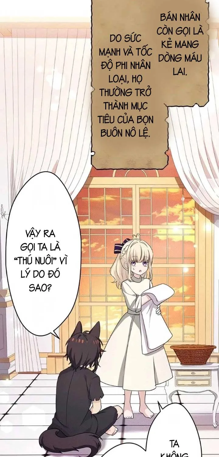 Tiểu Thư Út Tái Sinh Chapter 7 - Trang 17