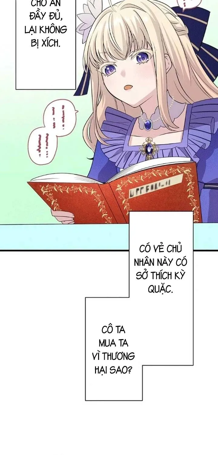 Tiểu Thư Út Tái Sinh Chapter 7 - Trang 36