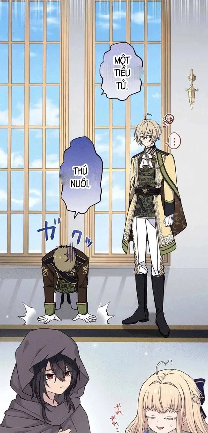 Tiểu Thư Út Tái Sinh Chapter 7 - Trang 7
