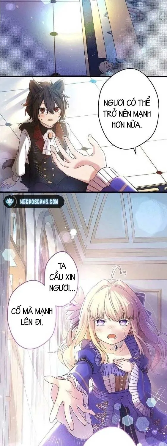 Tiểu Thư Út Tái Sinh Chapter 8 - Trang 14