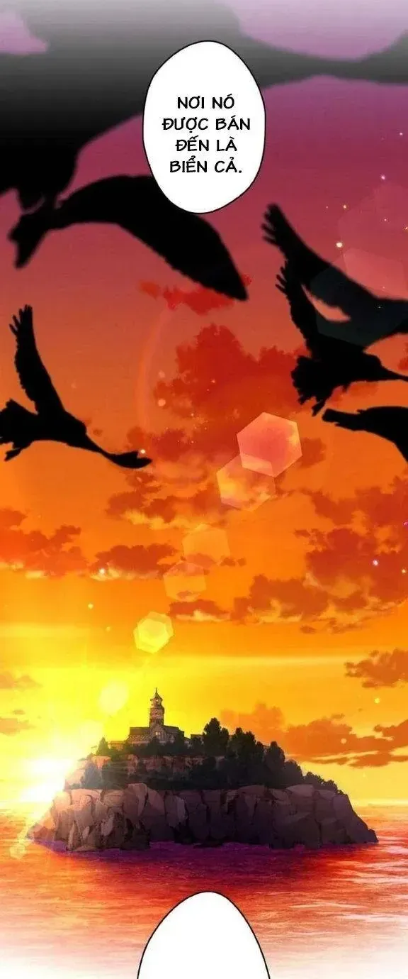 Tiểu Thư Út Tái Sinh Chapter 87 - Trang 24