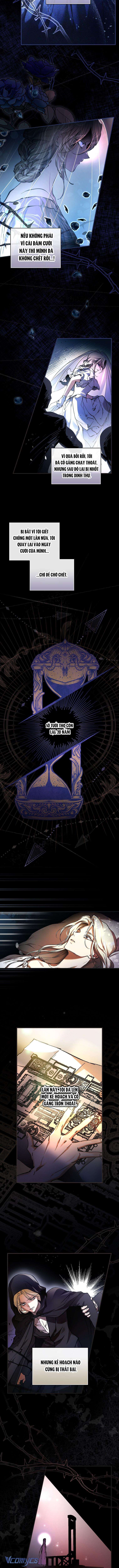 Tìm Một Người Chồng Mới Chapter 1 - Trang 7