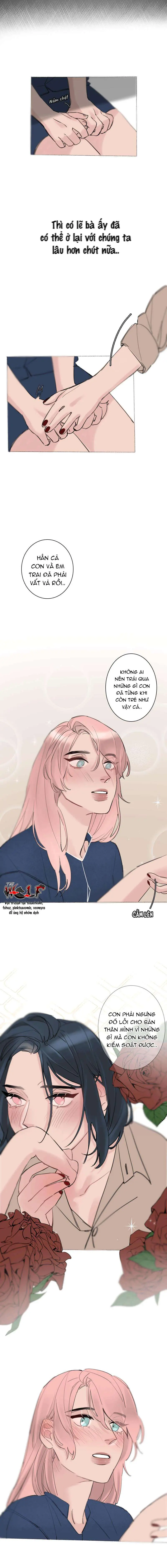 Tình Cờ Thật Đấy Chapter 24 - Trang 3