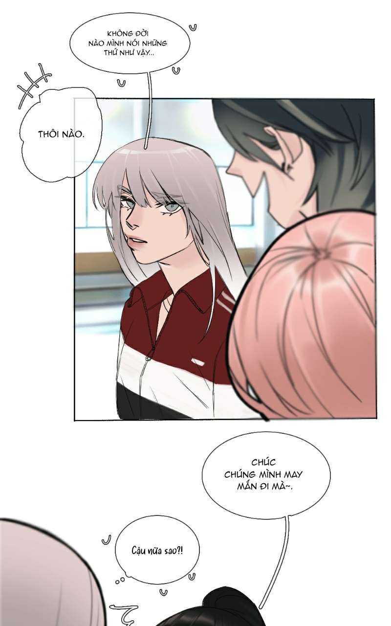 Tình Cờ Thật Đấy Chapter 39 - Trang 12