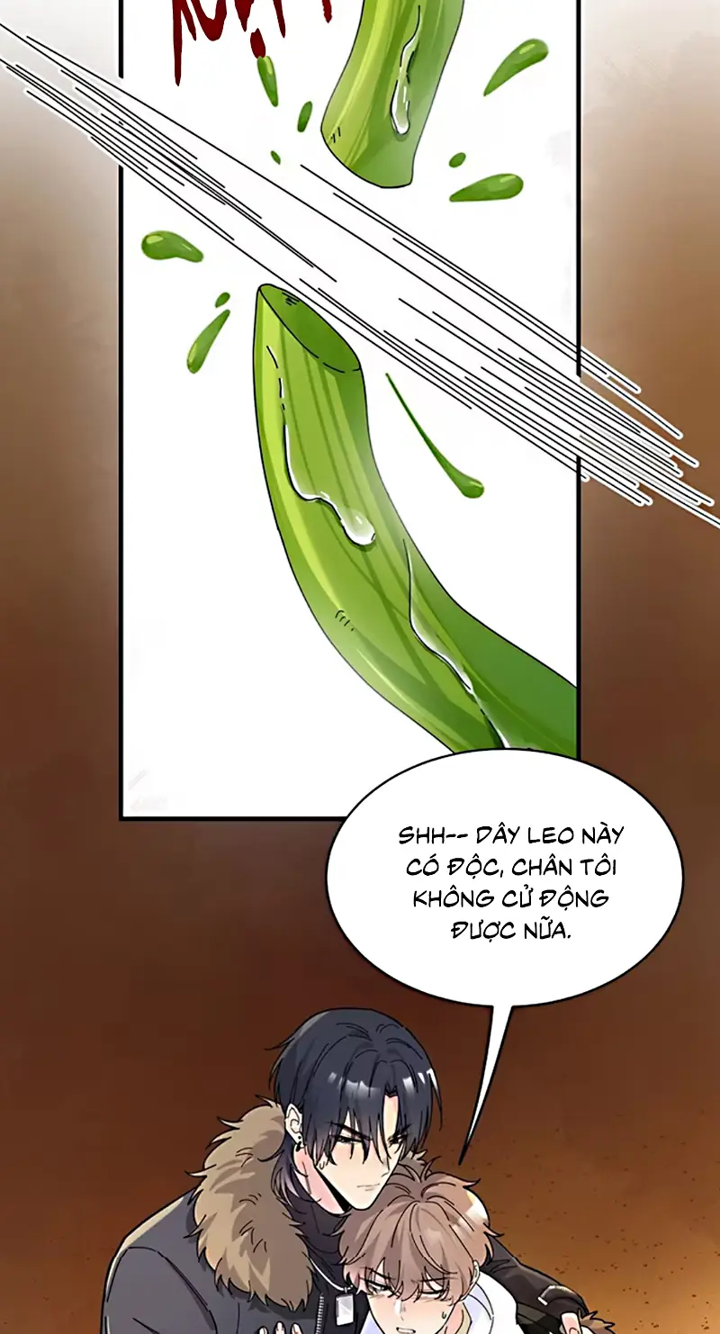 TÌNH NHÂN CHÍ MẠNG Chapter 3 - Trang 39