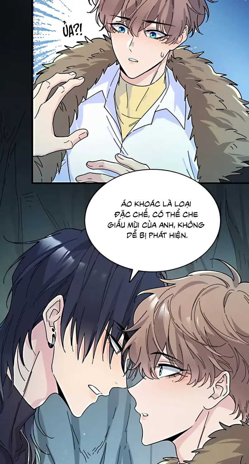 TÌNH NHÂN CHÍ MẠNG Chapter 3 - Trang 7