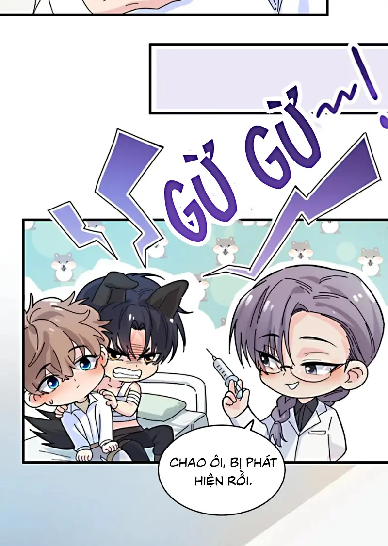 TÌNH NHÂN CHÍ MẠNG Chapter 4 - Trang 34