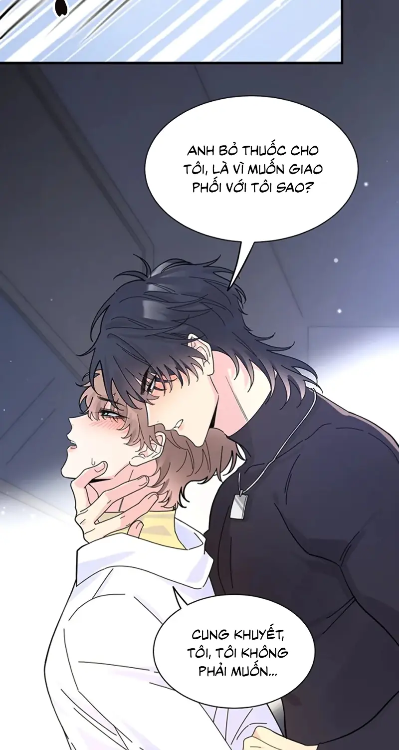 TÌNH NHÂN CHÍ MẠNG Chapter 8 - Trang 17