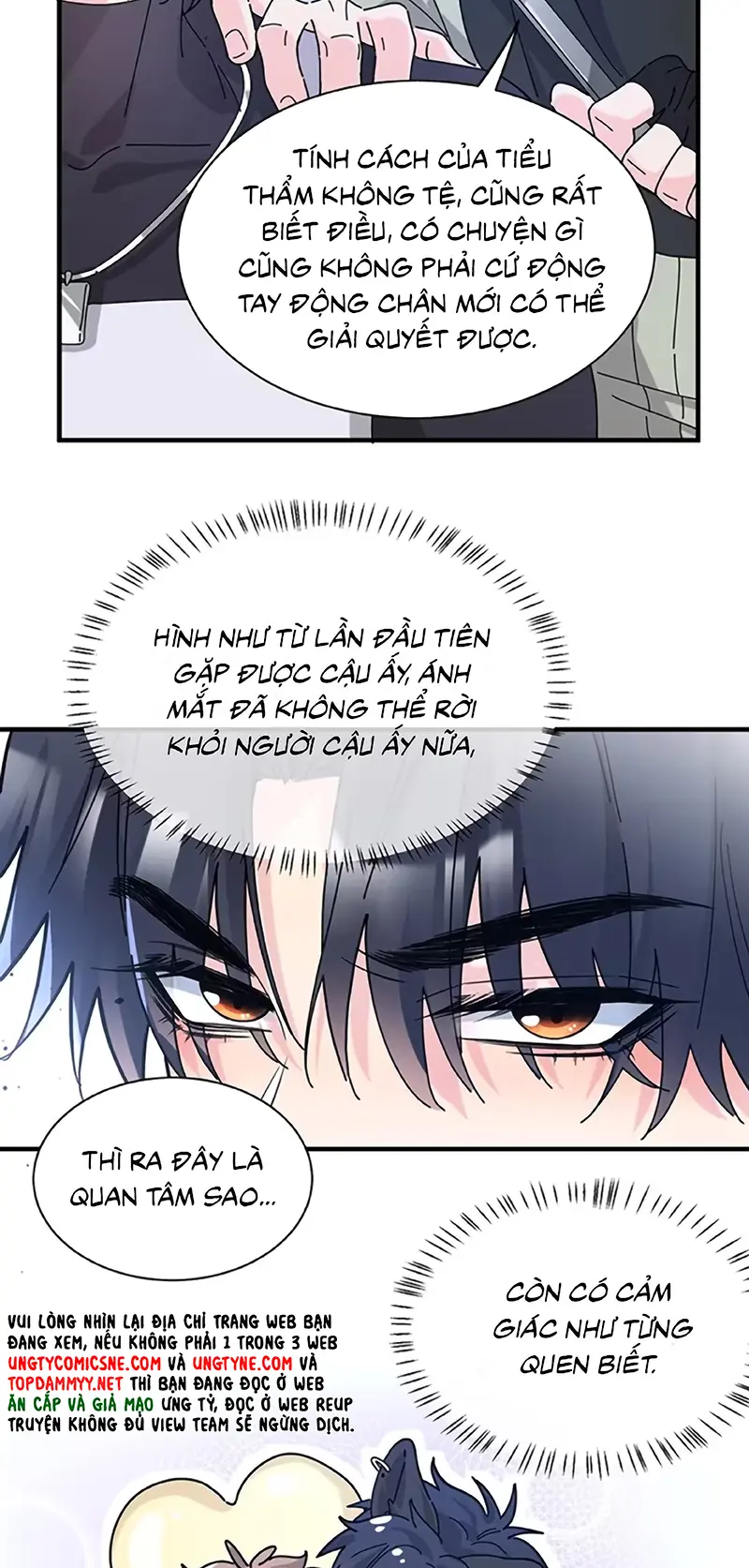 TÌNH NHÂN CHÍ MẠNG Chapter 9 - Trang 16