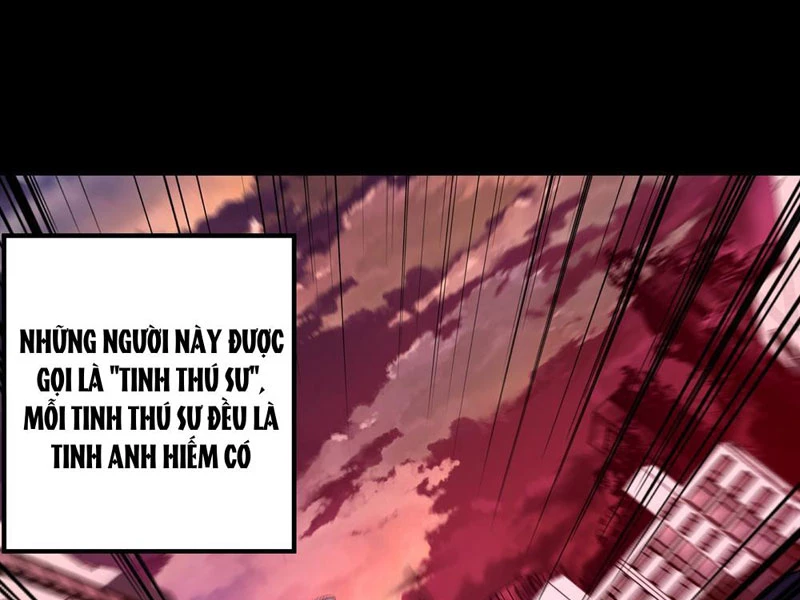 Tinh Thú Sư Mạnh Nhất Chapter 1 - Trang 13