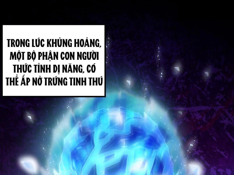 Tinh Thú Sư Mạnh Nhất Chapter 1 - Trang 9