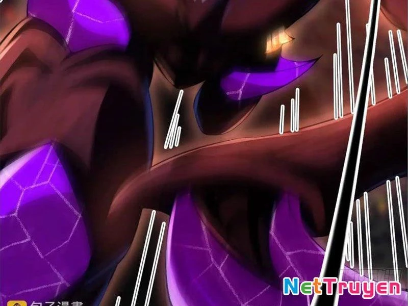 Tinh Thú Sư Mạnh Nhất Chapter 10 - Trang 11