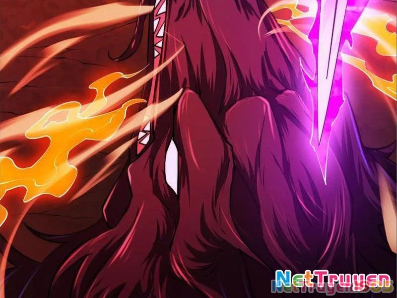 Tinh Thú Sư Mạnh Nhất Chapter 11 - Trang 26