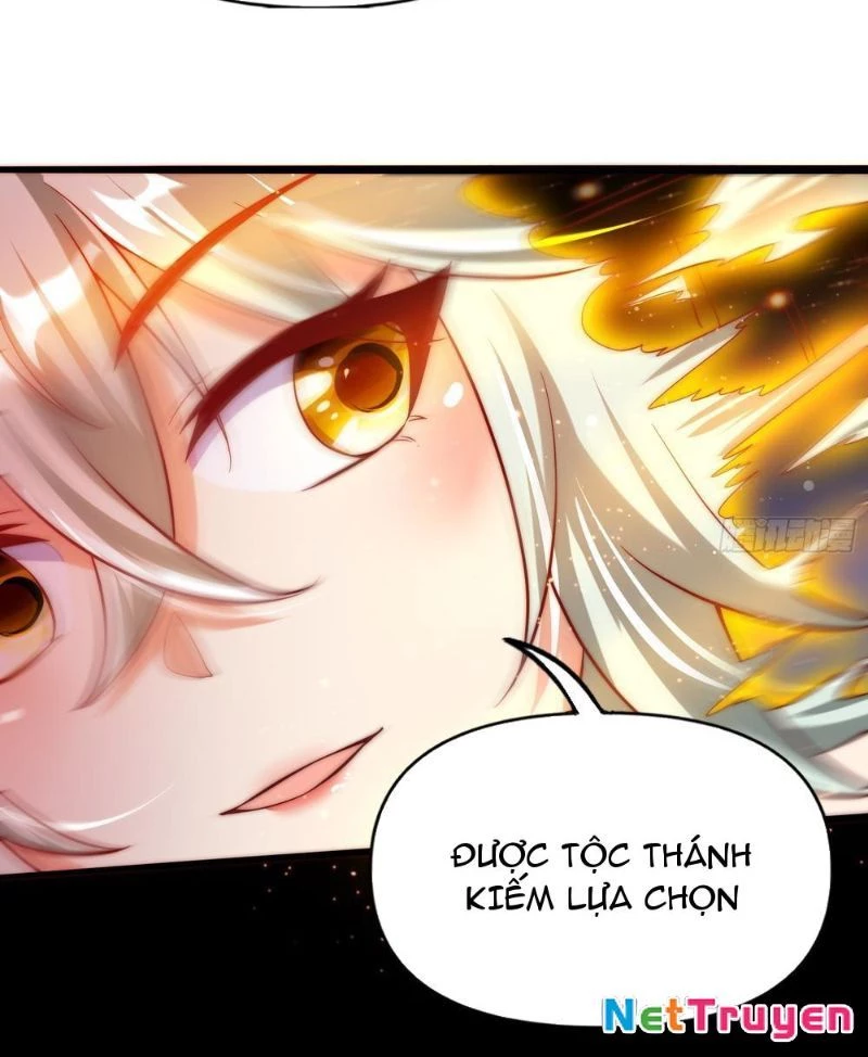 Tinh Thú Sư Mạnh Nhất Chapter 17 - Trang 16