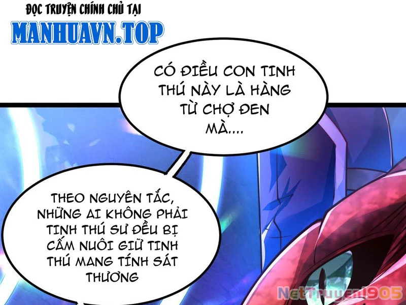 Tinh Thú Sư Mạnh Nhất Chapter 2 - Trang 13