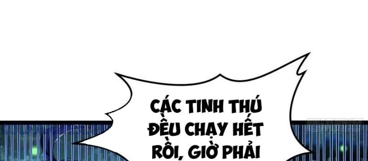 Tinh Thú Sư Mạnh Nhất Chapter 23 - Trang 28