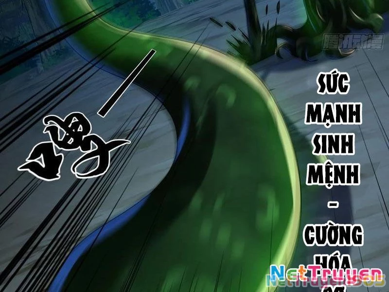Tinh Thú Sư Mạnh Nhất Chapter 28 - Trang 31