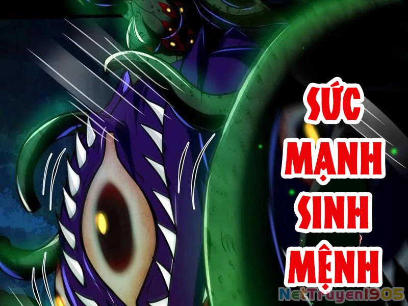 Tinh Thú Sư Mạnh Nhất Chapter 28 - Trang 47