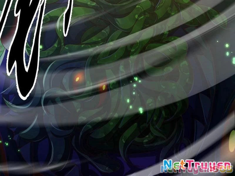 Tinh Thú Sư Mạnh Nhất Chapter 29 - Trang 11