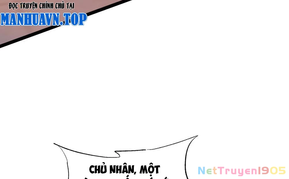 Tinh Thú Sư Mạnh Nhất Chapter 3 - Trang 24