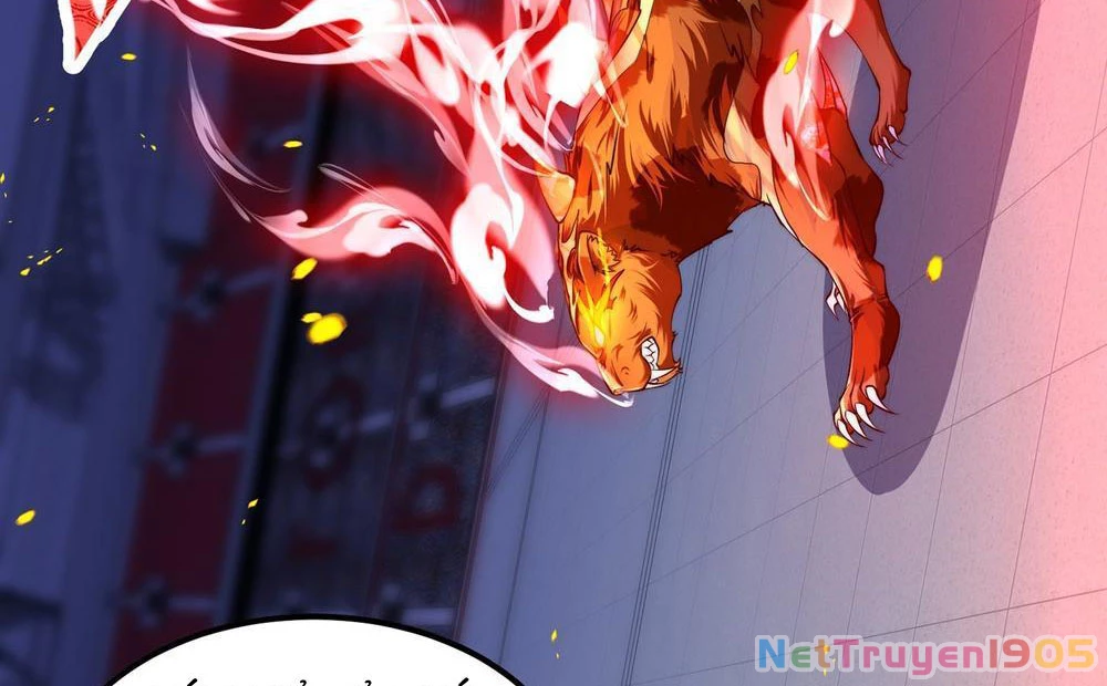 Tinh Thú Sư Mạnh Nhất Chapter 3 - Trang 32