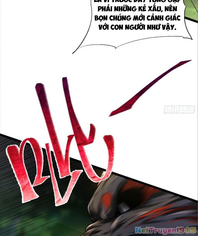 Tinh Thú Sư Mạnh Nhất Chapter 6 - Trang 24