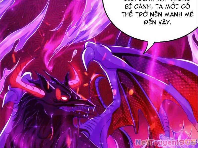 Tinh Thú Sư Mạnh Nhất Chapter 9 - Trang 24