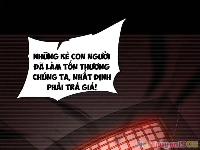 Tinh Thú Sư Mạnh Nhất Chapter 9 - Trang 34