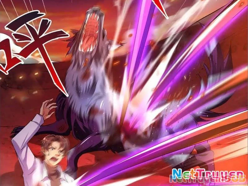 Tinh Thú Sư Mạnh Nhất Chapter 9 - Trang 41