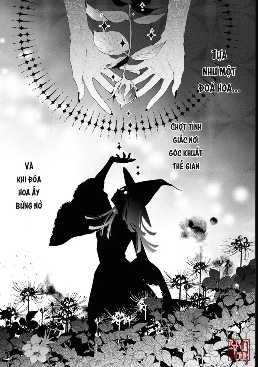 Tình yêu của phù thuỷ nở rộ trong hương hoa Chapter 6 - Trang 4