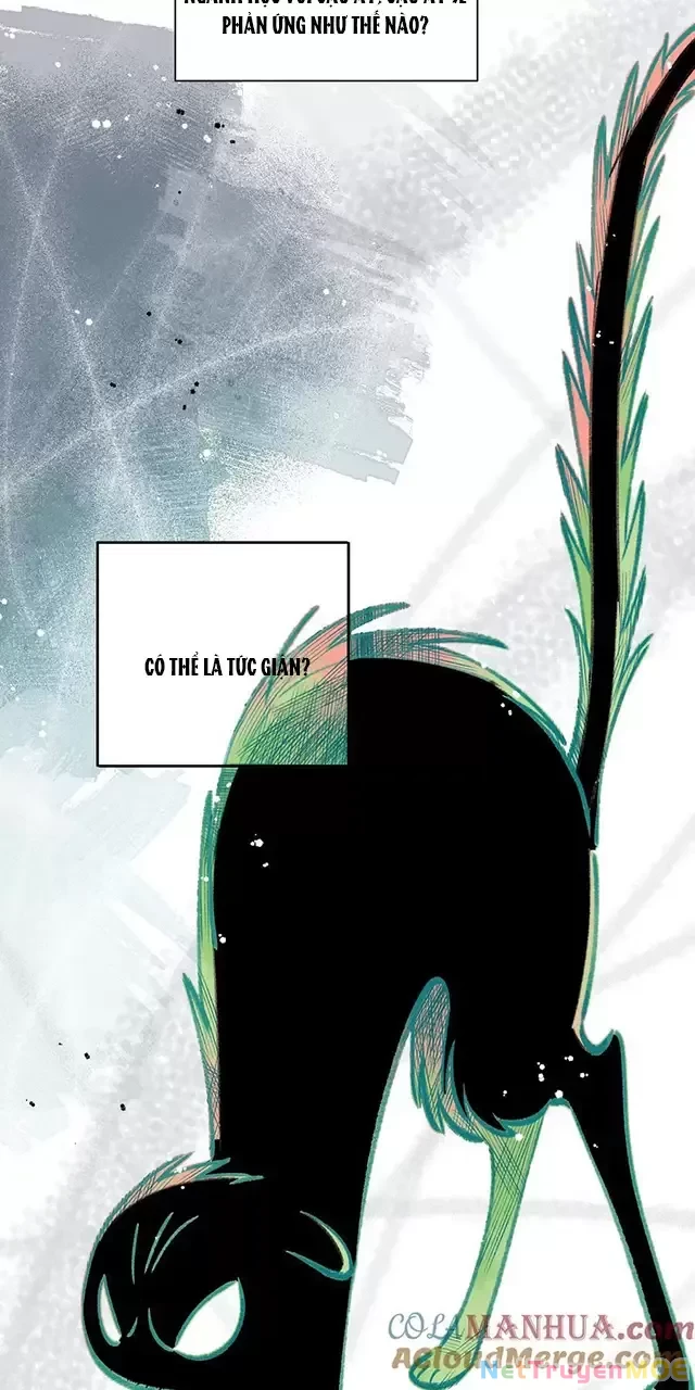 Tình Yêu Đã Cho Tôi Siêu Năng Lực Chapter 17 - Trang 11